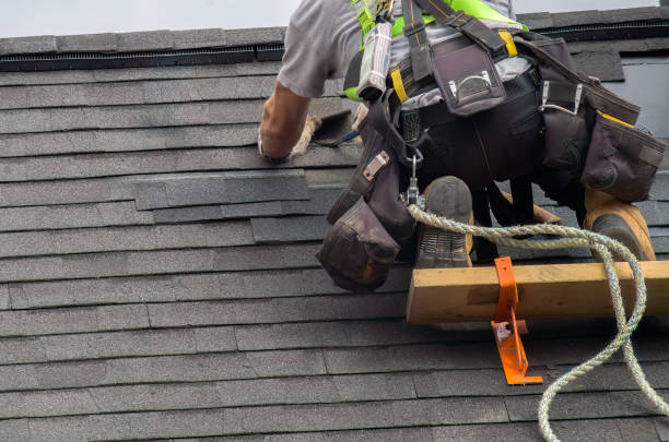 Reliable Roof Replacement contractor in Copeland, FL by Brentwood Metal Roofing